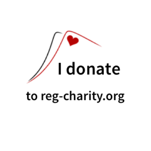 I donate to reg-charity.org